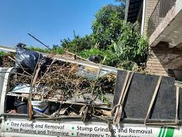 Best Residential Junk Removal  in Citrus Springs, FL